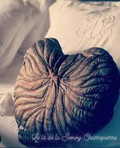 LE LIT DE LA SEMOY Chassepierre - 弗洛朗维尔