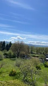 Casa T Bed and Breakfast & Home Restaurant di Tacchino Simone - Tagliolo Monferrato