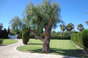 Amazing Beachfront Villa heated pool Marbella