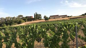 Villas Chateau du Grand Jas : photos des chambres