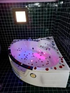 Pensiunea La Busu - 布朗