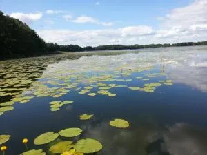Ferienwohnung Seebusch - Schwarz