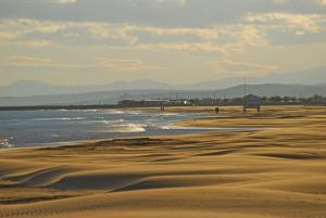 Magnifique Studio sur le Port de Gruissan (2 à 4 pers)