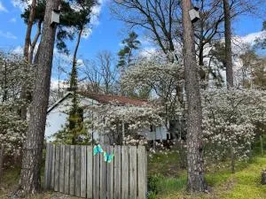 Ruime Chalet i/h bos met grote tuin en zwembad - Eibergen