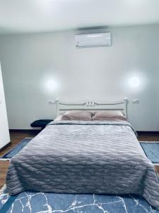 Вілла Смерекова хата