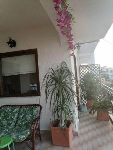SuiteViewPoros
