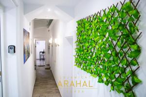 ALOJAMIENTO ARAHAL - RONDA