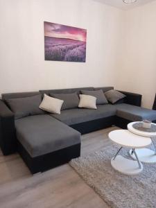 Apartment Dora-100m from the central beach