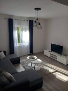 Apartment Dora-100m from the central beach