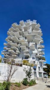 Appartements Arbre Blanc, une folie montpellieraine : photos des chambres