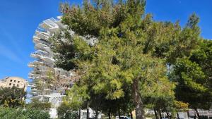 Appartements Arbre Blanc, une folie montpellieraine : photos des chambres