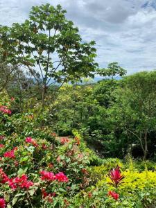 Hacienda Tarapoto Selva Alta Ecolodge