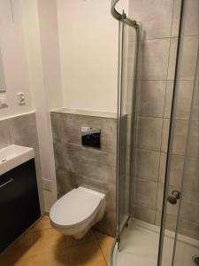 Urocze Studio w Łomiankach z sauną tarasem, 7km metro Młociny Warszawa