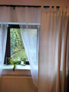 Urocze Studio w Łomiankach z sauną tarasem, 7km metro Młociny Warszawa