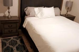 Amazing and Cool 2-Bedroom Unit in Central Tucson