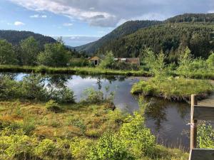 Appartements Le Perchoir du Grand Valtin - Gite 9 personnes - Altitude 830 : photos des chambres