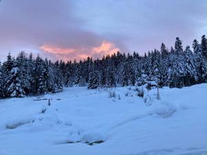 Appartements Le grand Valtin, 800m d altitude pleine nature 12 pers : photos des chambres