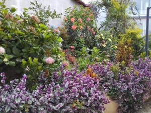 Apto Nuevo, Tranquilo,Bonito,5 min Plaza Principal