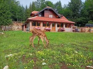 Kod Popaja - Zaugline