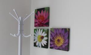 Estia Luxury Maisonette