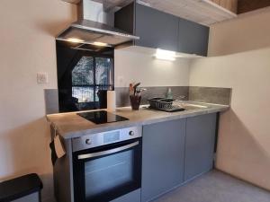 Gîte et studio avec cheminée, terrasse, salle de jeux et nature préservée à La Versanne - FR-1-496-280