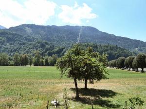 Appartements Appartement Samoens, 4 pieces, 8 personnes - FR-1-624-130 : photos des chambres