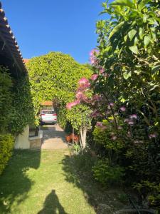 Apartamento Standard