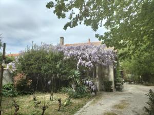 Maisons d'hotes LE 17 : photos des chambres