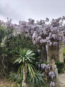 Maisons d'hotes LE 17 : photos des chambres