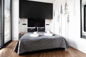 WILLA POD KASPROWYM APARTAMENT NUMER 2-Air conditioning