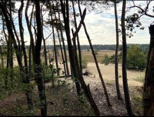 Chalet Hackfort 4pers Europarcs Kaatsheuvel