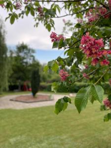 Hello Balcsi Apartmanház