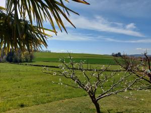 Maisons de vacances Gite Stone & Spa : photos des chambres