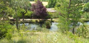 Mazet provençal Gorges du Verdon 4 personnes