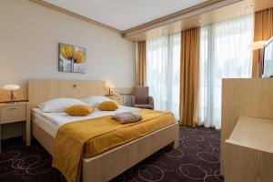 Single Room with Park View room in Grand Hotel Donat Superior & Wellness Center