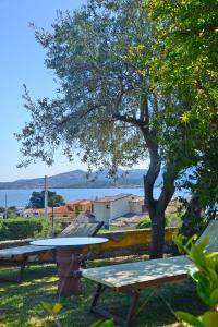 Case Vacanze La Conia img20