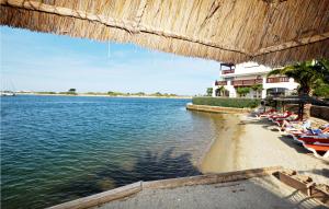 Gorgeous Apartment In Saint-Cyprien