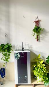 Feli Home 3 - Van Thanh Lakeview