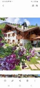 Maso Pin - SantʼAntonio di Mavignola