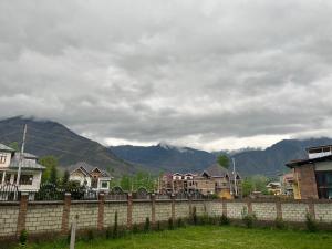 Tom and Jerry homestay Kashmir Srinagar