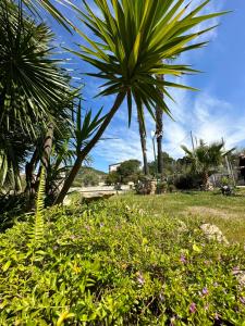 Jennas-Green Apartment img31