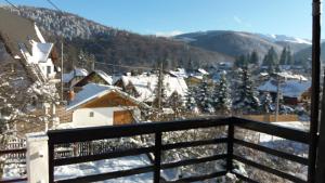 Apartament Potecuta Ursului