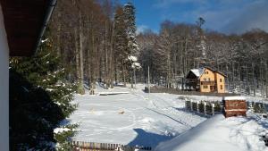 Apartament Potecuta Ursului