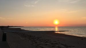 Maisons de vacances Les Volets Bleus-Charmante maison entierement equipee face a la mer pour 2 a 6 personnes : photos des chambres