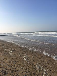 Maisons de vacances Les Volets Bleus-Charmante maison entierement equipee face a la mer pour 2 a 6 personnes : photos des chambres