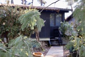 Maison bois au bord du lac