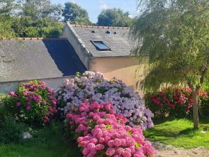 Maisons de vacances Holiday Home Ty va Zud by Interhome : photos des chambres