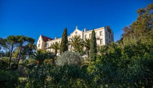 Appartements Suite Tropez, Residence de prestige : photos des chambres