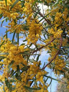 Casa THE NEST - Il Nido sul Mare img2