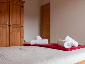 Apartment Ferme de Sandra E0 by Interhome